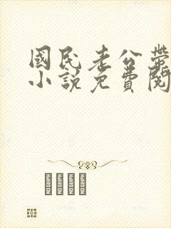 国民老公带回家小说免费阅读