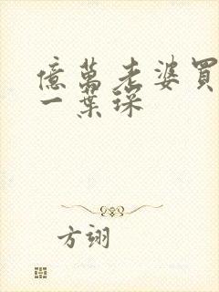 亿万老婆买一送一叶琛