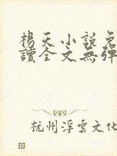 杨天小说免费阅读全文无弹窗