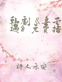 韩剧《妻子的外遇》免费播放