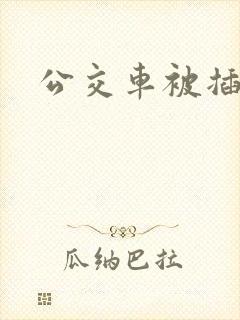 公交车被插入