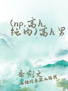 (np,高h,纯肉)高h男男