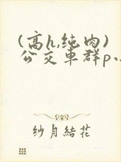 (高h,纯肉)公交车群p小说