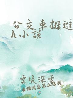 公交车挺进的小h小说