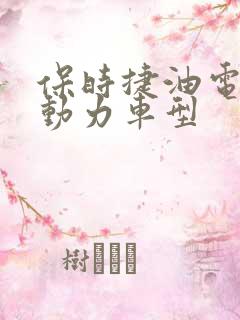 保时捷油电混合动力车型