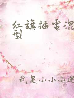 红旗插电混动车型