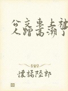 公交车上被陌生人蹭高潮了