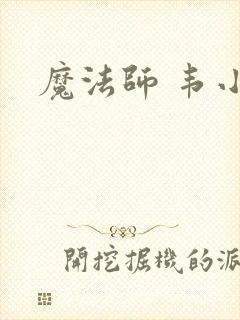 魔法师 韦小宝