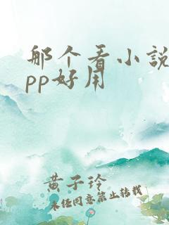 那个看小说的app好用