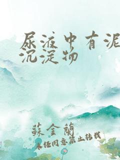 尿液中有泥沙样沉淀物