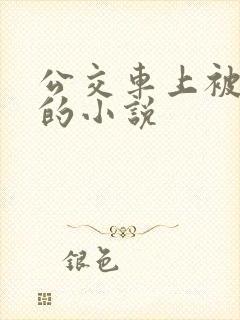 公交车上被人操的小说