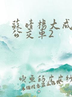 苏晴杨大成小说公交车2