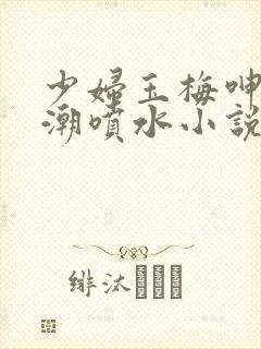 少妇玉梅呻吟高潮喷水小说
