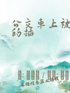 公交车上被巨大的插
