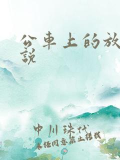 公车上的放荡小说