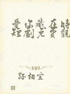 爱你藏在时光里短剧免费观看
