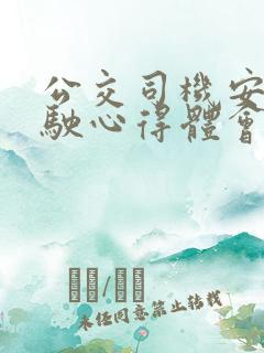 公交司机安全驾驶心得体会200字