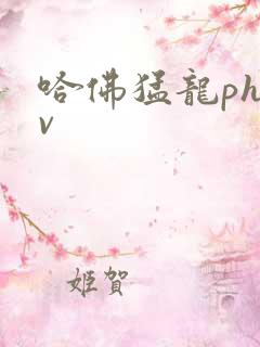 哈佛猛龙phev