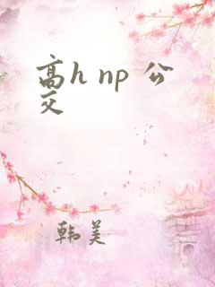 高h np 公交