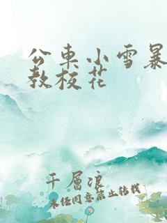 公车小雪暴露调教校花