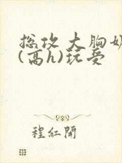 总攻 大胸奶汁(高h)玩受
