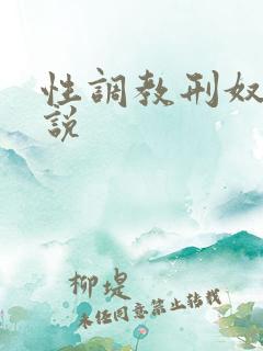 性调教刑奴隶小说