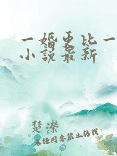 一婚更比一婚高小说最新