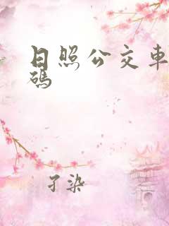 日照公交车乘车码