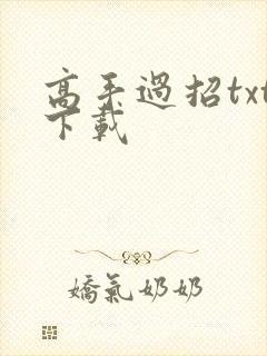 高手过招txt下载