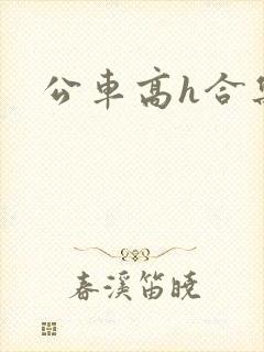 公车高h合集
