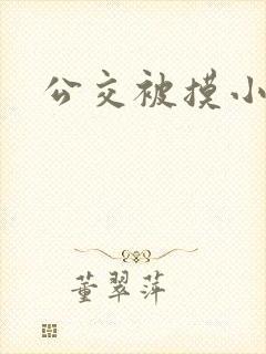 公交被摸小说