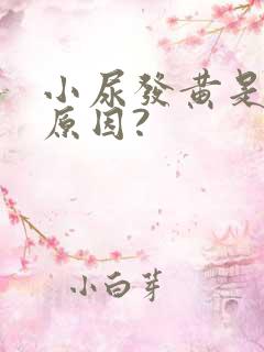 小尿发黄是什么原因?
