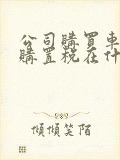 公司购买车辆辆购置税在什么时候交
