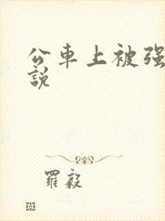 公车上被强上小说