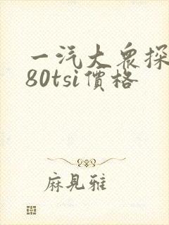 一汽大众探岳380tsi价格