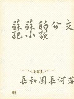 苏苏的公交车日记小说