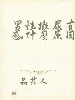 男性撒尿有刺痛感什么原因