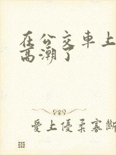 在公交车上被摸高潮了