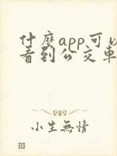 什么app可以看到公交车的实时信息