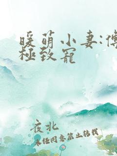 暖萌小妻:傅少极致宠