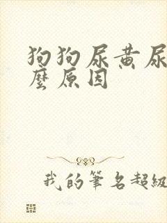 狗狗尿黄尿是什么原因