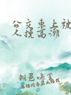 公交车上被陌生人摸高潮