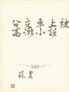 公交车上被摸到高潮小说