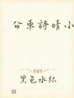 公车诗晴小说
