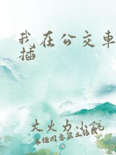 我在公交车上被插