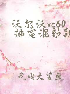 沃尔沃xc60 插电混动款价格