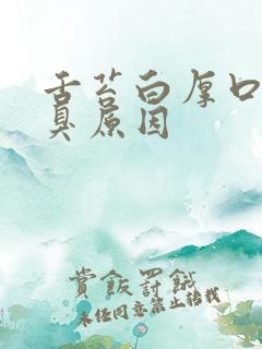 舌苔白厚口苦口臭原因