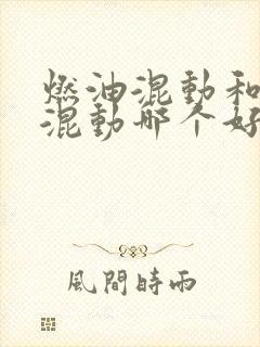 燃油混动和插电混动哪个好