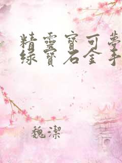 精灵宝可梦究极绿宝石金手指