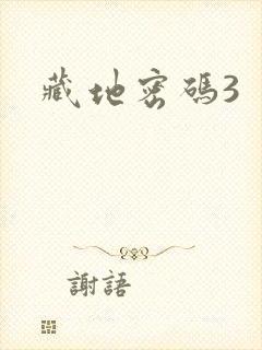 藏地密码3
